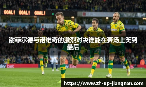 谢菲尔德与诺维奇的激烈对决谁能在赛场上笑到最后